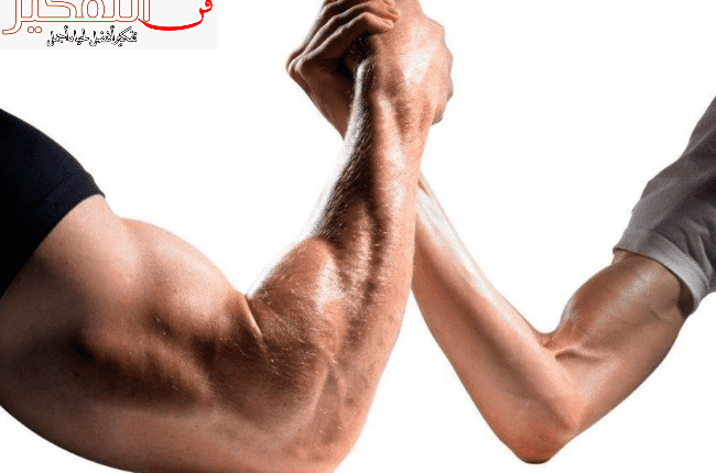 جدول تمارين العضلات لجميع أجزاء الجسم