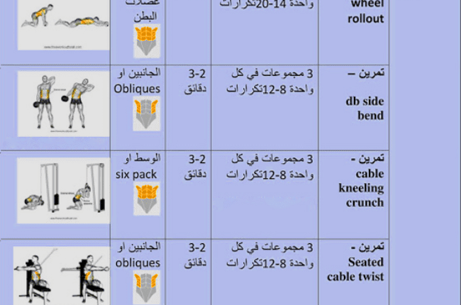 جدول تمارين كمال الاجسام 6 ايام لشد وتضخيم وتقوية العضلات