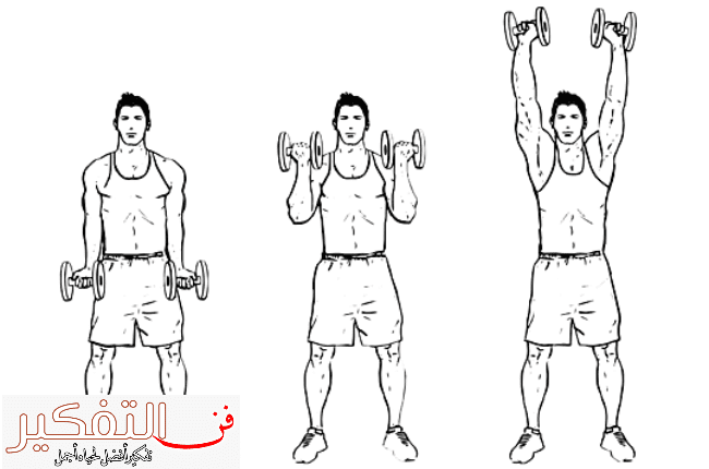 جدول تمارين كمال الاجسام للمبتدئين pdf بنتائج سريعة ومبهرة في 4 أيام
