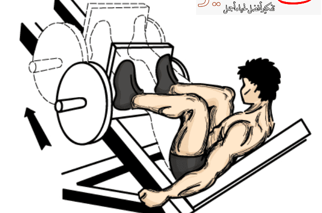 جدول تمارين للبنات الحصول على قوام منشوق ومتناسق