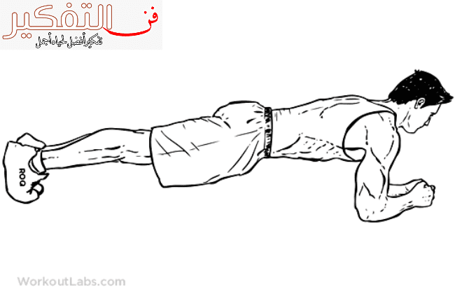 جدول تمارين فتنس للمبتدئين لنحت دهون الجسم