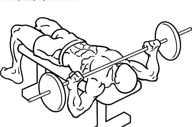 جدول تمارين كمال الاجسام تضخيم عضلات للمبتدئين