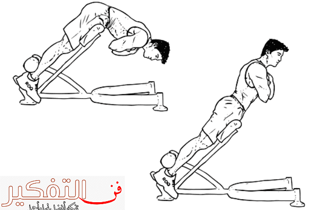 جدول تمارين الحديد اسبوعي للمبتدئين فى صالات الجيم