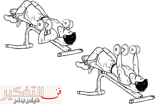 جدول تمارين للبنات في البيت بدون أجهزة رياضية