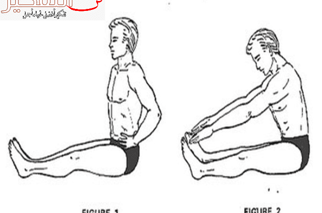 جدول تمارين كمال الاجسام للمبتدئين بالصور كامل وافضل 6 تمارين