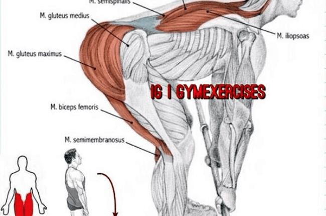 جدول تمارين رياضية بسيط ويسهل تنفيذه