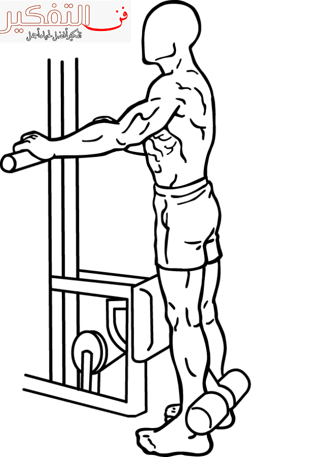 جدول تمارين كمال الاجسام بالصور pdf لتضخيم العضلات بسرعة