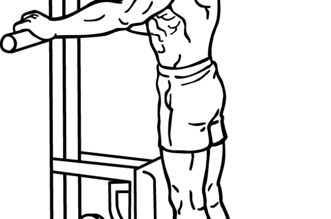 جدول تمارين كمال اجسام اسبوعي لزيادة وزنك وتضخيم عضلاتك