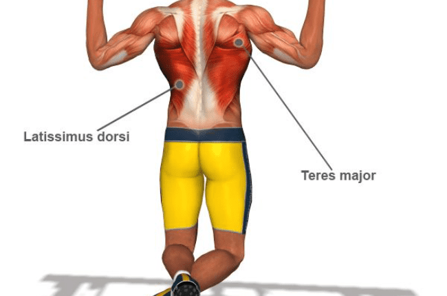 جدول تمارين بوزن الجسم لنحت مثالي للجسم