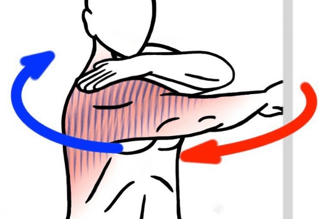 التخلص من الكرش للرجال وطرق للتخلص منه بالاعشاب