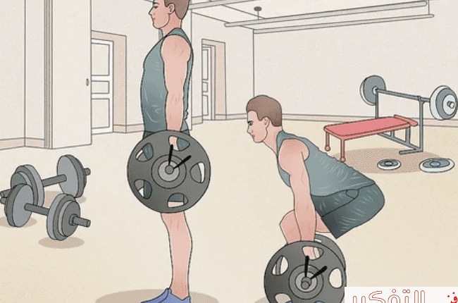 جدول تمارين الجيم للمبتدئين وما هي اهم 3 فوائد للتمرين