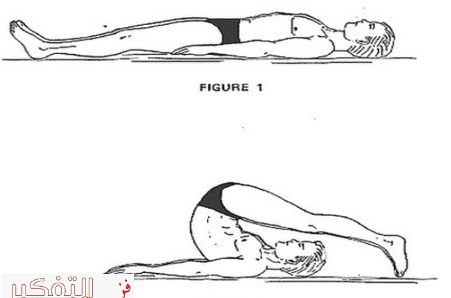 تمارين ظهر بالبيت وما هي أفضل وأسرع 4 تمارين
