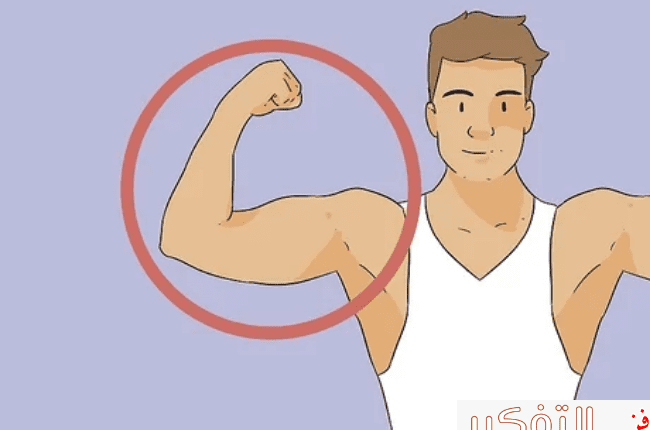 جدول تمارين كمال اجسام تضخيم وجدول في 7 أيام فقط