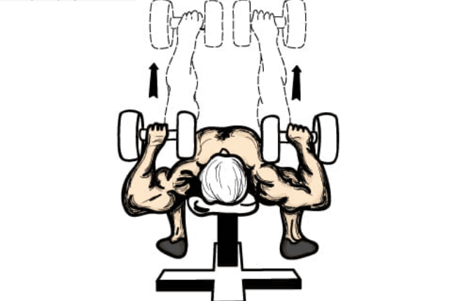 تمارين بنش للمبتدئين 9 تمارين لتقوية العضلات الصدر وتضخيم