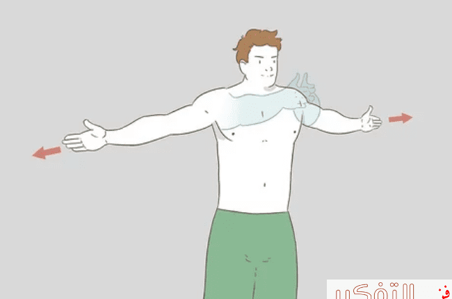 تمارين البنش للمنطقة الوسطى والعلوية والسفلية