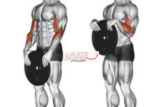 جدول تمارين كمال الأجسام للمبتدئين pdf في 7 أيام