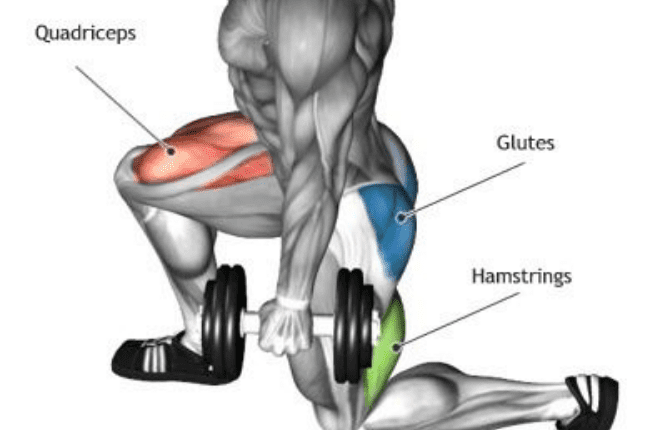 كمال اجسام للمبتدئين للحصول على جسم مثالي فى وقت قياسي