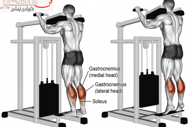 تمارين ارجل وما هي افضل 4 تمارين سريعة