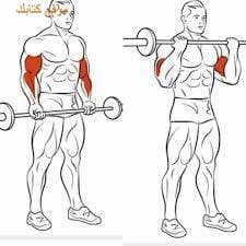 تمرين زيادة القوة العضلية للذراعين