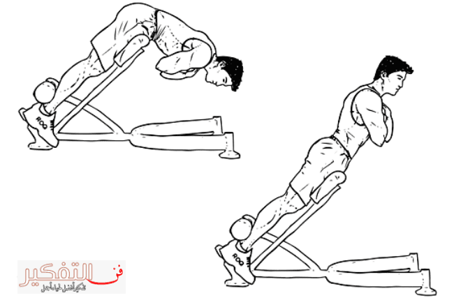 تمرين صدر وما هي أفضل وأهم التمارين الخاصة به