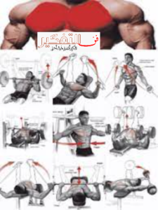 تمرين الصدر: فجر عضلة الصدر ب 6 تمارين فعالة