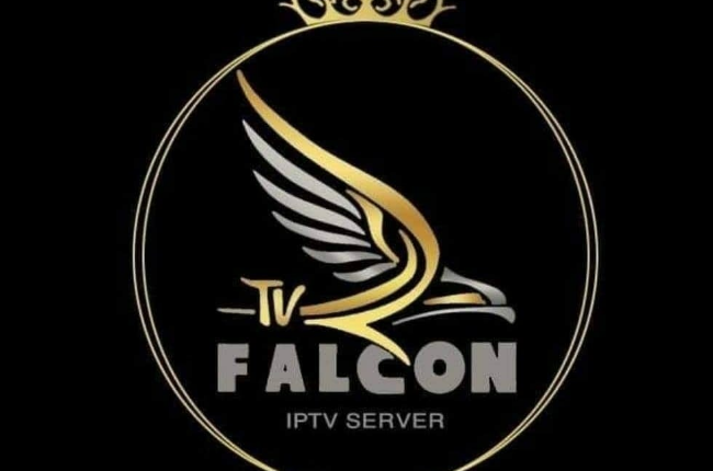 اشتراك فالكون وما هي أهم مميزاته