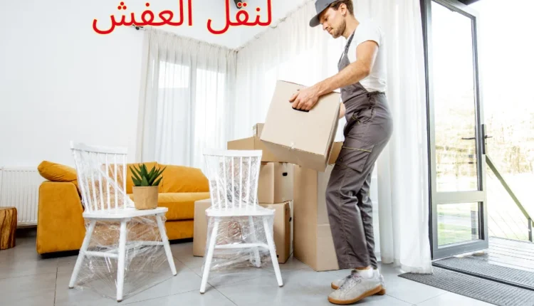 دينا نقل عفش بجازان